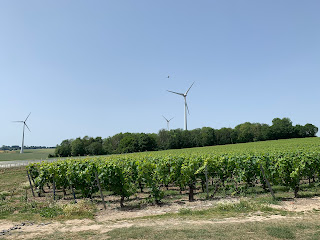 vignes domaine chant d'éole belgique