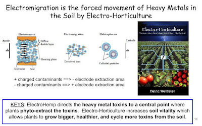 Electromigration is the forced movement of Heavy Metals in the Soil by Electro-Horticulture