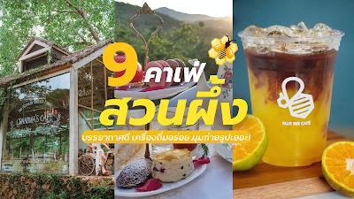 9 คาเฟ่ สวนผึ้ง บรรยากาสดี เครื่องดื่มอร่อย มุมถ่ายรุปเยอะ อัปเดต 2022 OHO999 9 คาเฟ่ สวนผึ้ง บรรยากาสดี เครื่องดื่มอร่อย มุมถ่ายรุปเยอะ อัปเดต 2022 OHO999