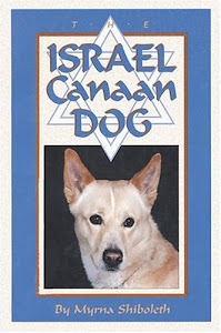 The Israel Canaan Dog
