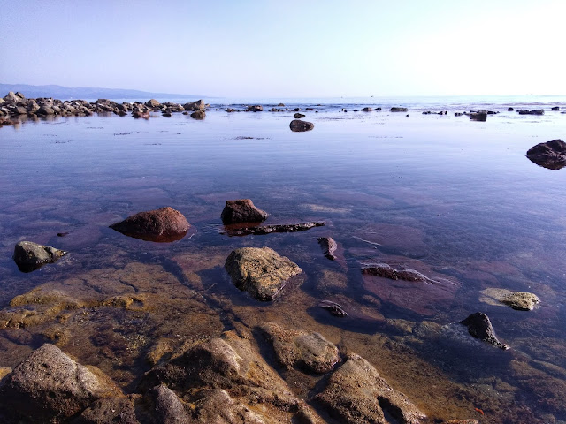 富山湾を望む