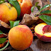 Health Benefits of Peach Fruit For Beauty and your body