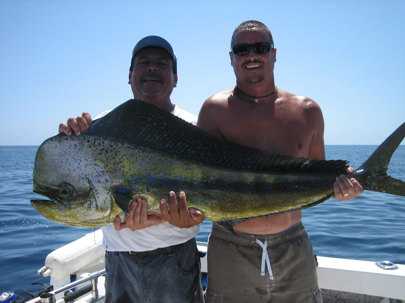 Penn international Big Game Hooks, 9/0, Cow Tuna,Shark Fishing
