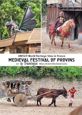 Provins Medieval Festival Spectacle Pinterest