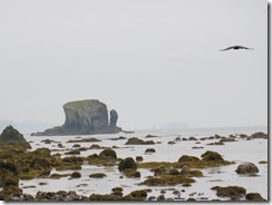 IMG_2861 (640x479)