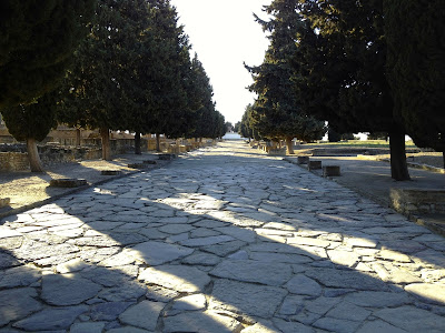 Street view of Italica near Seville, a paved road lined with cypress trees