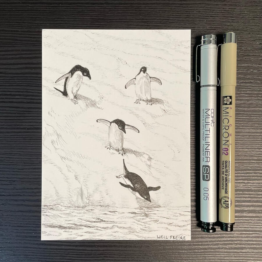 10-Penguins-diving-Animal-Drawings-Well-Freire-www-designstack-co