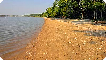 beach