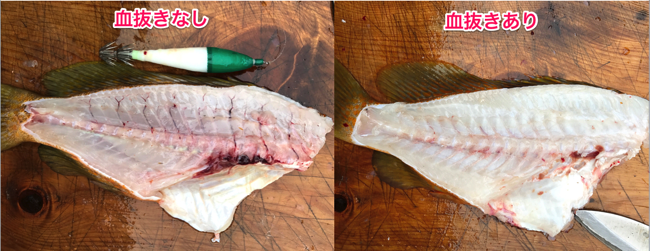 ちゃらんぽらんな新米漁師のブログ 血抜き 魚を美味しく食べてもらうための漁師の一手間 追記あり