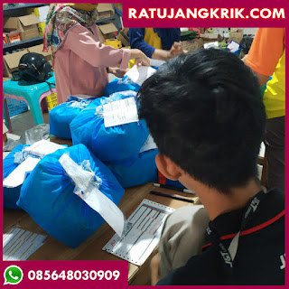 Jual Telur Jangkrik Banyuwangi 