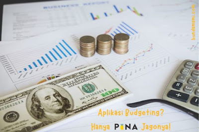 PINA Aplikasi Budgeting