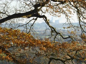 P1020106