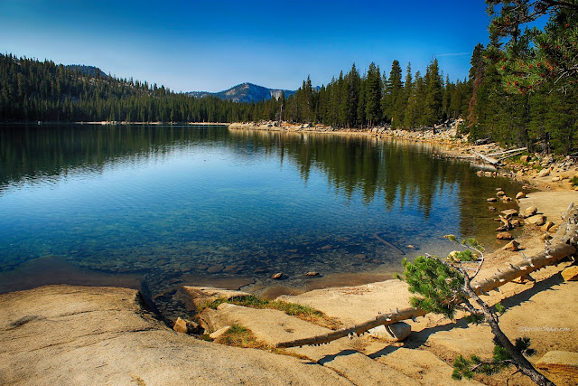 Yosemite National Park Tioga Pass geology travel field trip copyright rocdoctravel.com