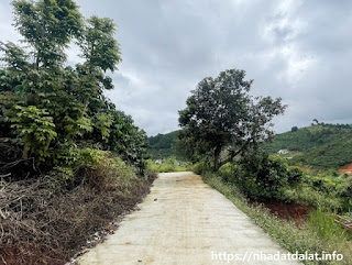 Sở hữu nhanh lô đất view rừng thích hợp kinh doanh du lịch tại Mê Linh, huyện Lâm Hà, Lâm Đồng