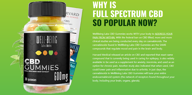 Well Being Labs CBD Gummies Cost