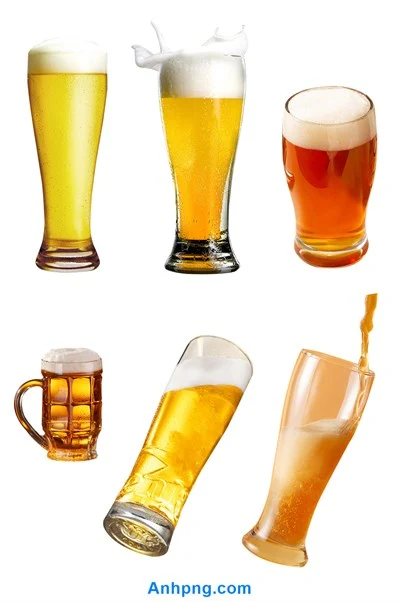 Bộ ly bia đa dạng kiểu dáng trên nền trắng đơn giản