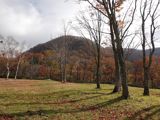 奥大山スキー場の公園