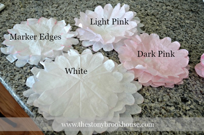 Coffee Filter Peony Color Effects