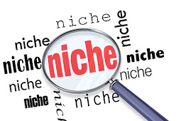 
    3 Cara menentukan Niche Blog yang Benar  
