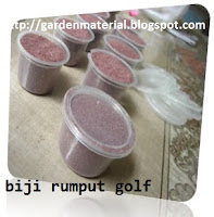 bibit rumput golf dari biji