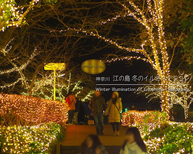 江の島 冬のイルミネーション：亀ヶ岡広場