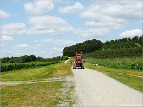 Granjas de Massachusetts: Tractor de la Cider Hill Farm 