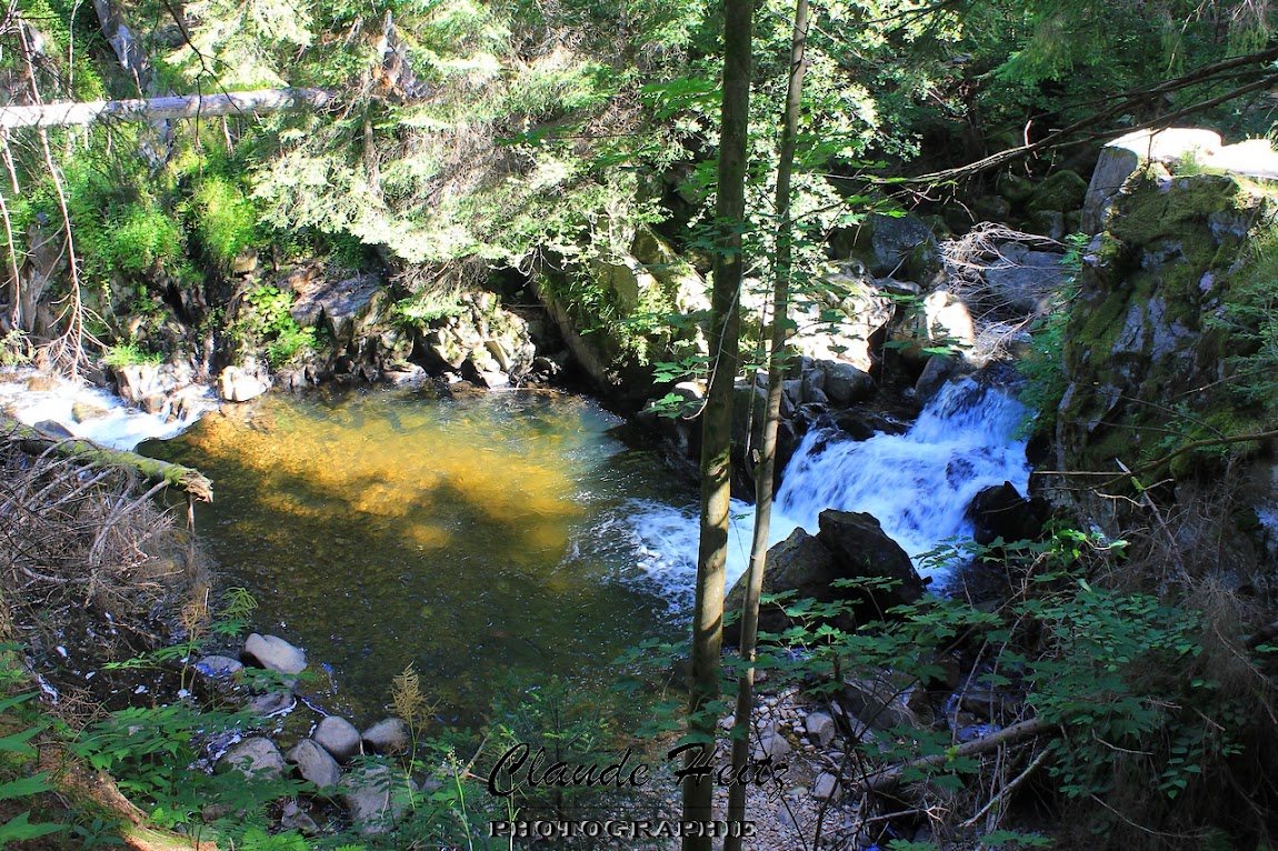 le saut des cuves