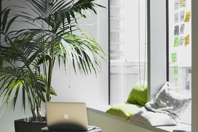 Make your work space green