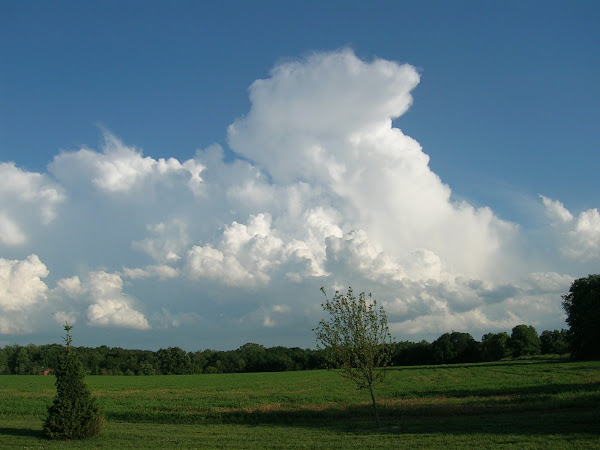 The sky as we were leaving tonight