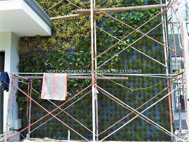 VERTICAL GARDEN INDONESIA SPESIALIS JASA PEMBUATAN VERTICAL GARDEN DI KEDIRI DAN DI SELURUH WILAYAH KEDIRI DENGAN TENAGA YANG PROFESIONAL DAN DAPAT DI PERCAYA YANG SELALU MENGUTAMAKAN SEBUAH MUTU DAN KUALITAS PEMASANGAN VERTICAL GARDEN/TAMAN DINDING, JASA TUKANG TAMAN VERTICAL KEDIRI, JASA VERTICAL GARDEN KEDIRI