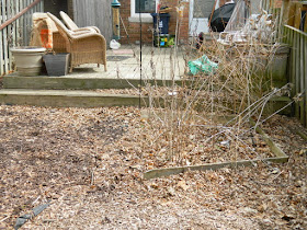 Spring Backyard Garden Cleanup Mount Pleasant East Davisville Before by Paul Jung Gardening Services a Toronto Gardening Company
