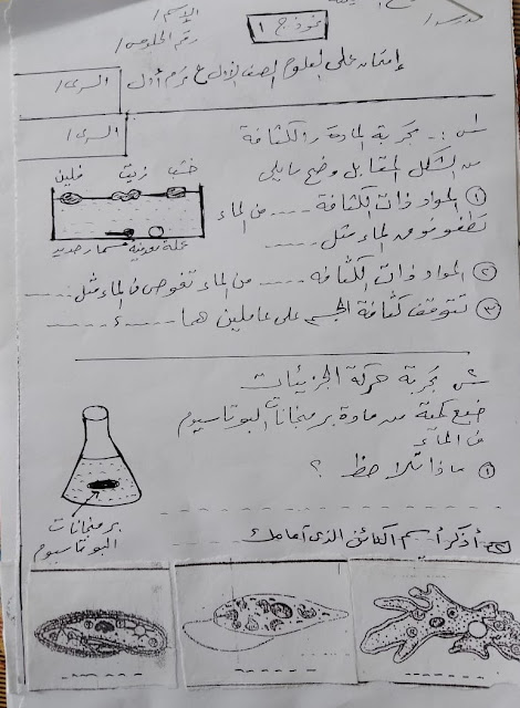 امتحان عملي علوم الصفين الأول و الثاني الإعدادي ترم أول 2024 410364766_1161216254851420_660713926363004632_n