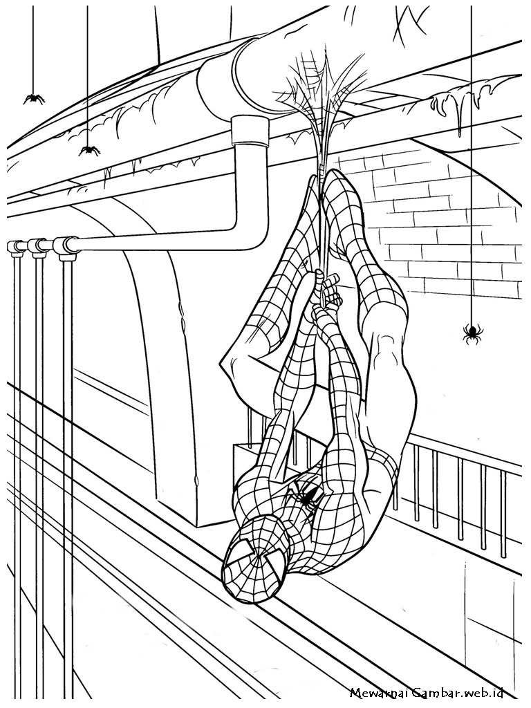 Mewarnai Gambar Spiderman  Mewarnai Gambar