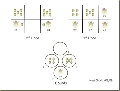 6-3-09 Nest Check