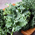 Benefit of kale and how to prepare it