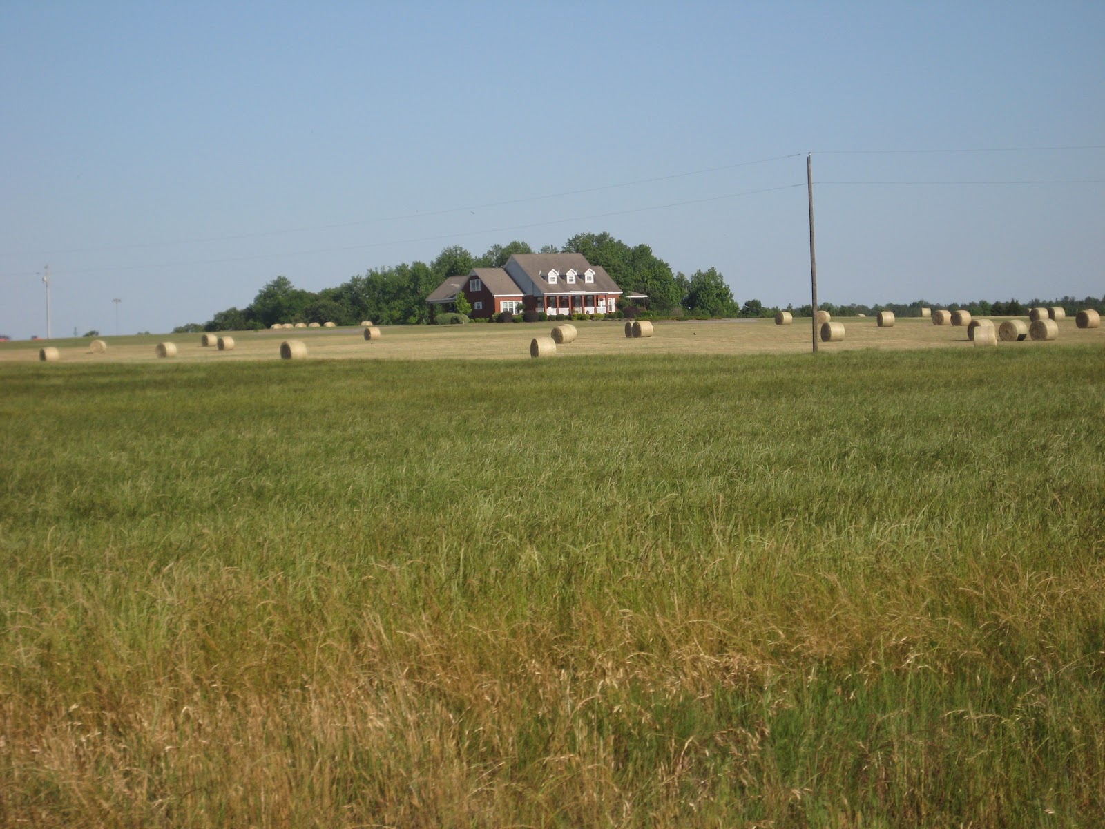 Hay Bales