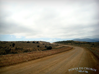 Punta de Choros