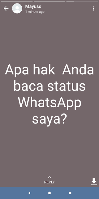 Cara Melihat Status WhatsApp Orang Lain Tanpa Ketahuan Pemilik Nomor Pembuat Status Terbaru