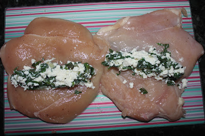 enroladinho de frango com ricota com molho 4 queijos Mococa