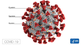 corona virus image East Timor Leste COVID-19