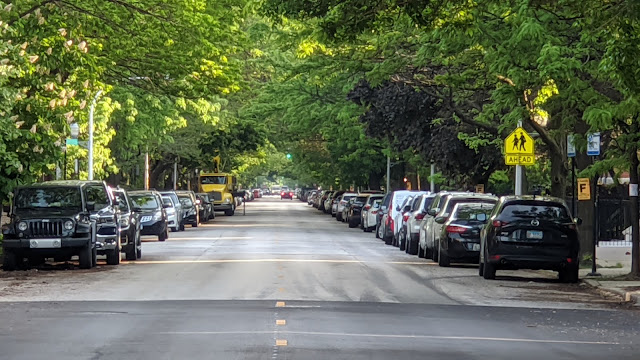 Block lined with large trees on both sides of the street. Photo by <a href="https://unsplash.com/@hificlinic?utm_content=creditCopyText&utm_medium=referral&utm_source=unsplash">Craig Vodnik</a> on <a href="https://unsplash.com/photos/cars-on-road-during-daytime-0OjlP_3gZ4w?utm_content=creditCopyText&utm_medium=referral&utm_source=unsplash">Unsplash</a>