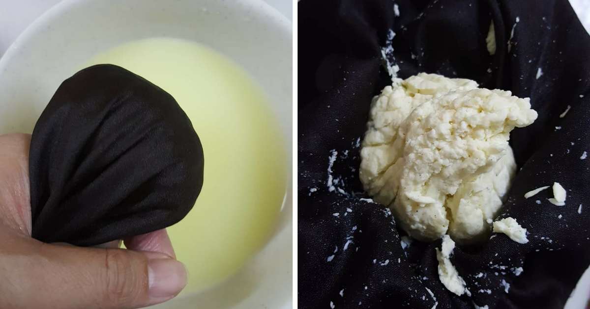 Resepi dan Cara Buat Cheese Di Rumah Hanya Guna Susu 