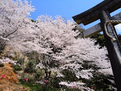 DSC03750