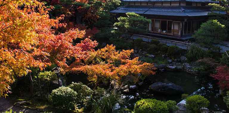 Tempat Wisata di Nara