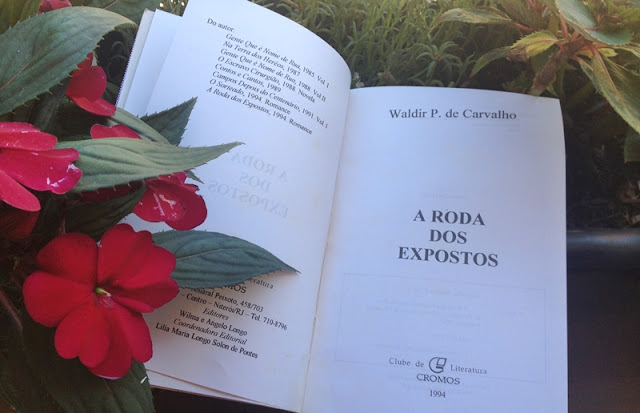 resenha, roda dos exposto, romance regional, waldir de carvalho