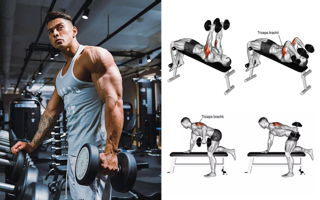 5 Best Dumbbell Triceps Exercises for Mass & Strength