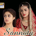 Sannata Episode 17 30 January 2014 Online