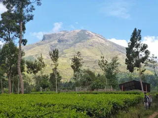 Paket Wisata Pendakian Gunung Sindoro Jalur Pendakian Kledung, Sigedang, Tambi, Alang Alang Sewu Ekonomis, Murah, Hemat, VIP dan VVIP