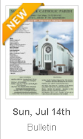 https://parishesonline.com/find/pastor-of-saint-patrick-catholic-parish-san-diego-california-corporation-sole/bulletin/file/05-0628-20190714B.pdf#