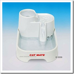 cat1